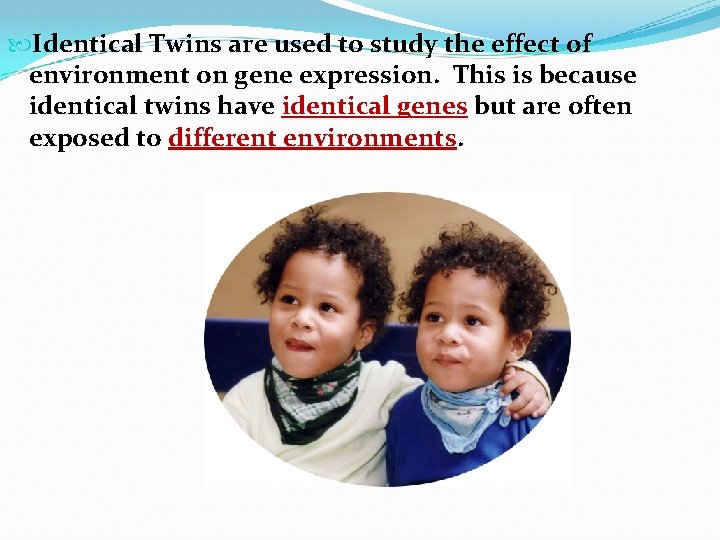  Identical Twins are used to study the effect of environment on gene expression.
