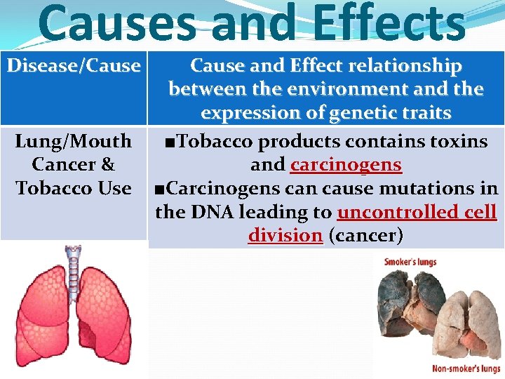 Causes and Effects Disease/Cause Lung/Mouth Cancer & Tobacco Use Cause and Effect relationship between