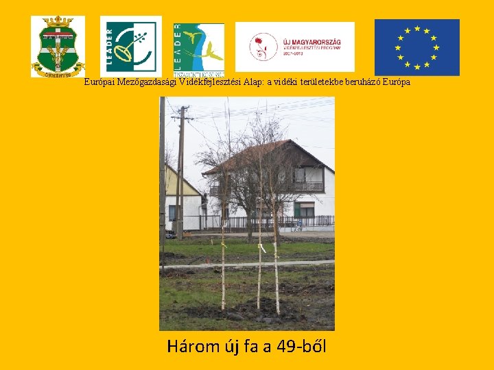 Európai Mezőgazdasági Vidékfejlesztési Alap: a vidéki területekbe beruházó Európa Három új fa a 49