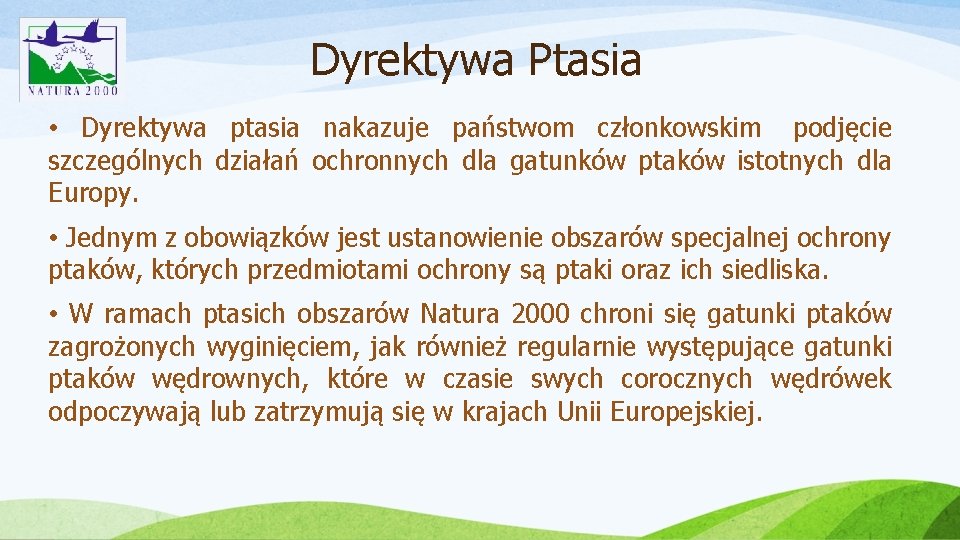 Dyrektywa Ptasia • Dyrektywa ptasia nakazuje państwom członkowskim podjęcie szczególnych działań ochronnych dla gatunków