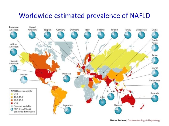 Worldwide estimated prevalence of NAFLD 