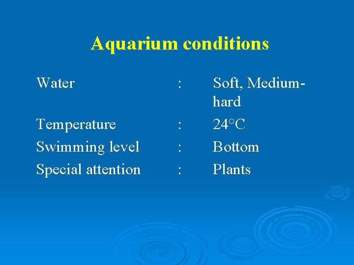 Aquarium conditions Water : Temperature Swimming level Special attention : : : Soft, Mediumhard