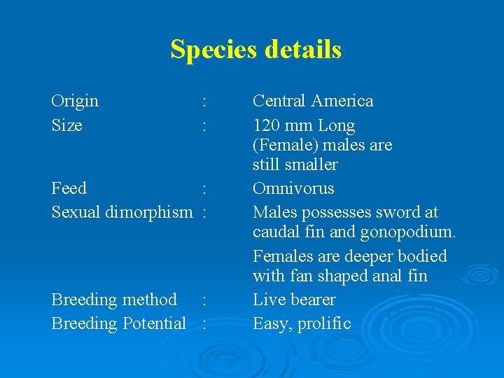 Species details Origin Size : : Feed : Sexual dimorphism : Breeding method :