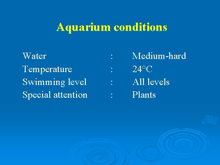 Aquarium conditions Water Temperature Swimming level Special attention : : Medium-hard 24°C All levels