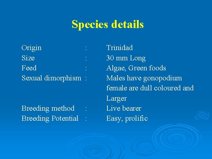 Species details Origin Size Feed Sexual dimorphism : : Breeding method : Breeding Potential