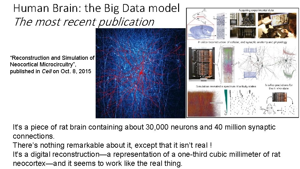 Human Brain: the Big Data model The most recent publication “Reconstruction and Simulation of