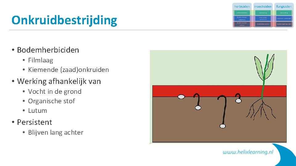 Onkruidbestrijding • Bodemherbiciden • Filmlaag • Kiemende (zaad)onkruiden • Werking afhankelijk van • Vocht
