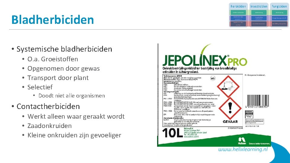 Bladherbiciden • Systemische bladherbiciden • • O. a. Groeistoffen Opgenomen door gewas Transport door