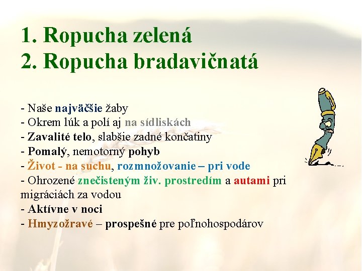 1. Ropucha zelená 2. Ropucha bradavičnatá - Naše najväčšie žaby - Okrem lúk a