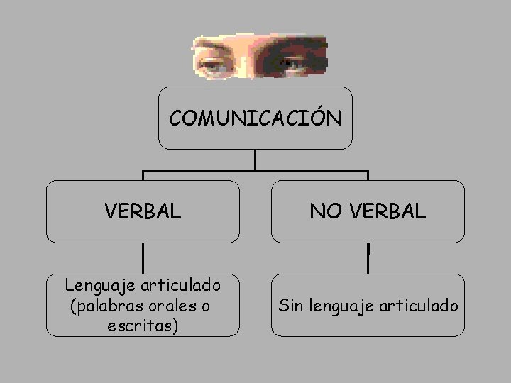 COMUNICACIÓN VERBAL NO VERBAL Lenguaje articulado (palabras orales o escritas) Sin lenguaje articulado 