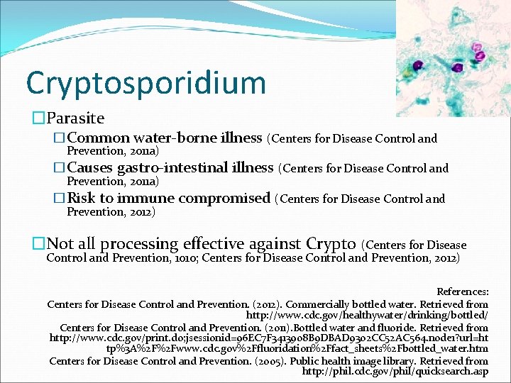 Cryptosporidium �Parasite �Common water-borne illness (Centers for Disease Control and Prevention, 2011 a) �Causes