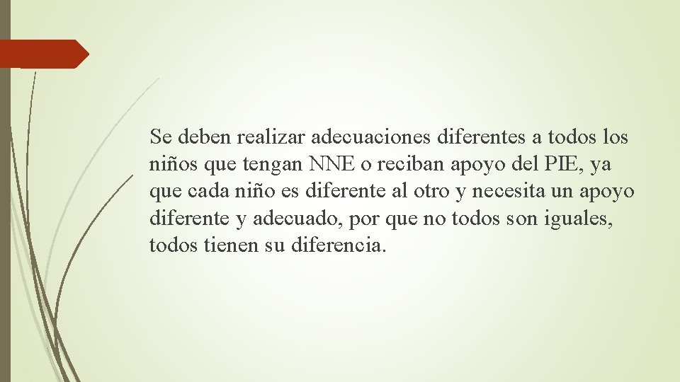 Se deben realizar adecuaciones diferentes a todos los niños que tengan NNE o reciban