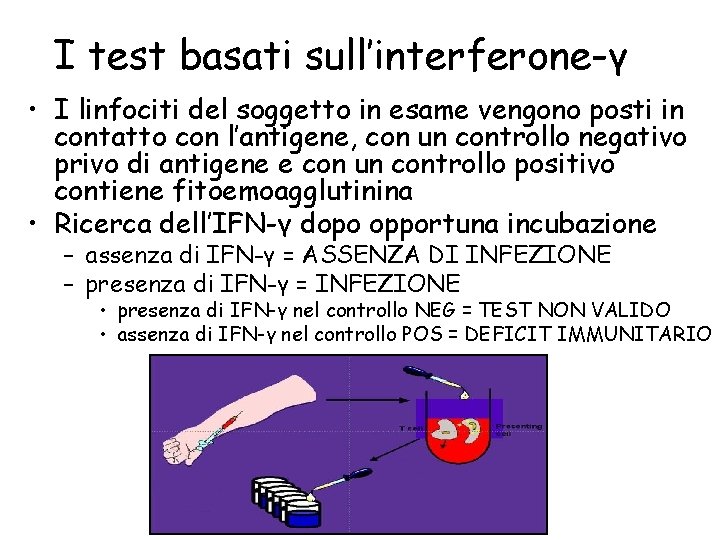 I test basati sull’interferone-γ • I linfociti del soggetto in esame vengono posti in