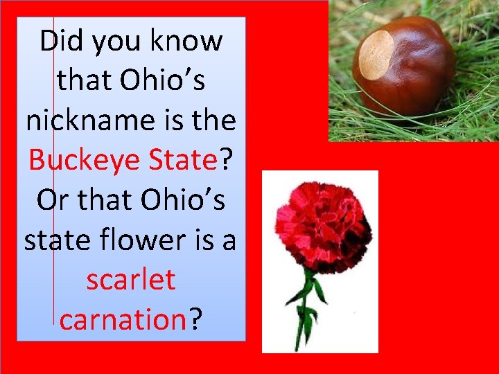 Did you know that Ohio’s nickname is the Buckeye State? Or that Ohio’s state