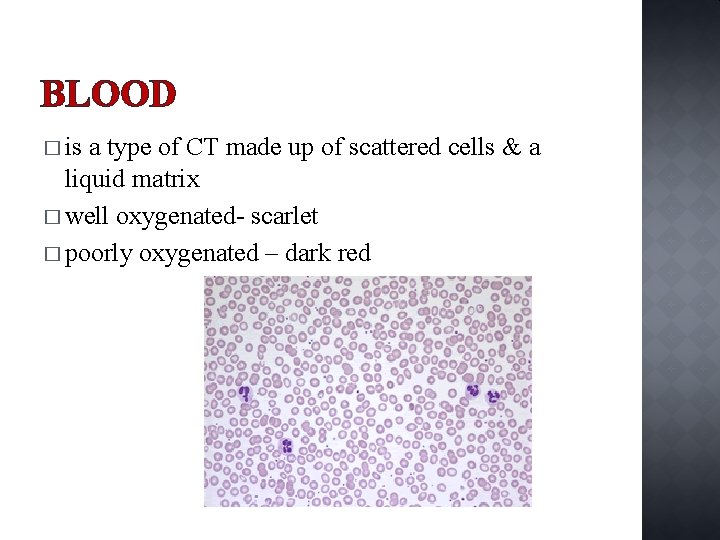 BLOOD � is a type of CT made up of scattered cells & a