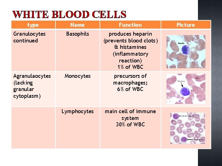 WHITE BLOOD CELLS type Name Function Granulocytes continued Basophils produces heparin (prevents blood clots)