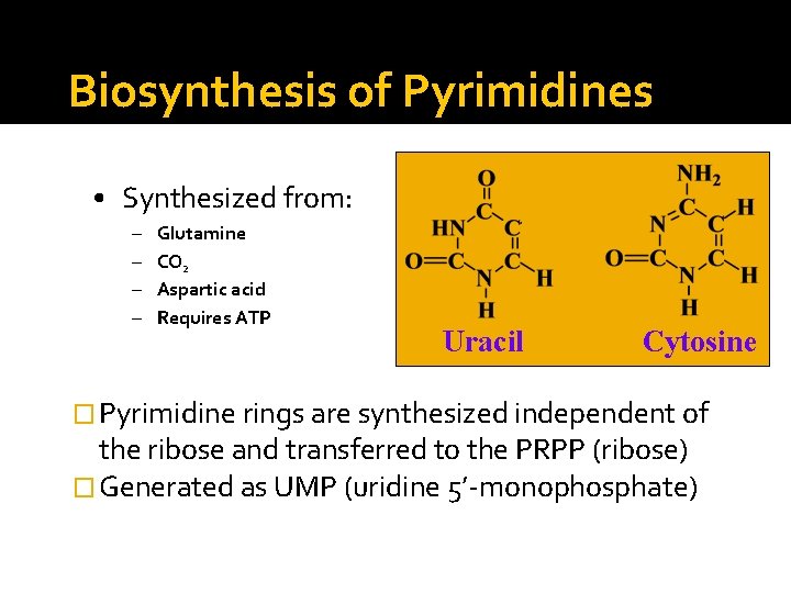 Biosynthesis of Pyrimidines • Synthesized from: – – Glutamine CO 2 Aspartic acid Requires