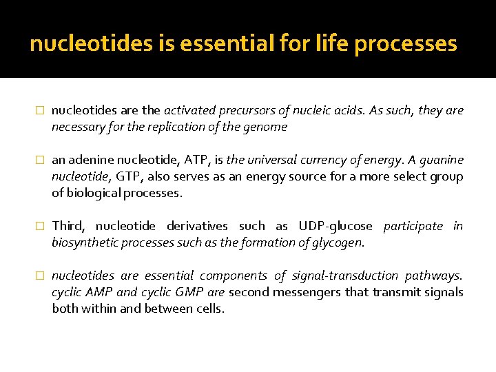 nucleotides is essential for life processes � nucleotides are the activated precursors of nucleic