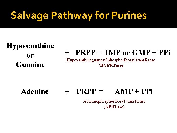 Salvage Pathway for Purines Hypoxanthine or Guanine Adenine + PRPP = IMP or GMP