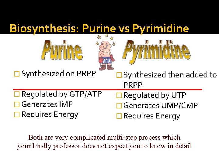 Biosynthesis: Purine vs Pyrimidine � Synthesized on PRPP � Regulated by GTP/ATP � Generates