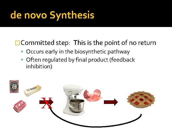 de novo Synthesis �Committed step: This is the point of no return Occurs early