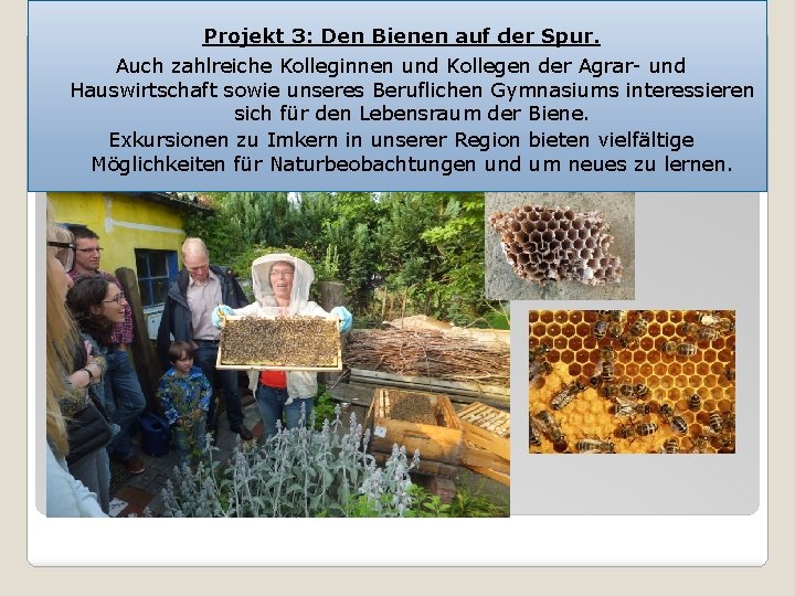 Projekt 3: Den Bienen auf der Spur. Auch zahlreiche Kolleginnen und Kollegen der Agrar-