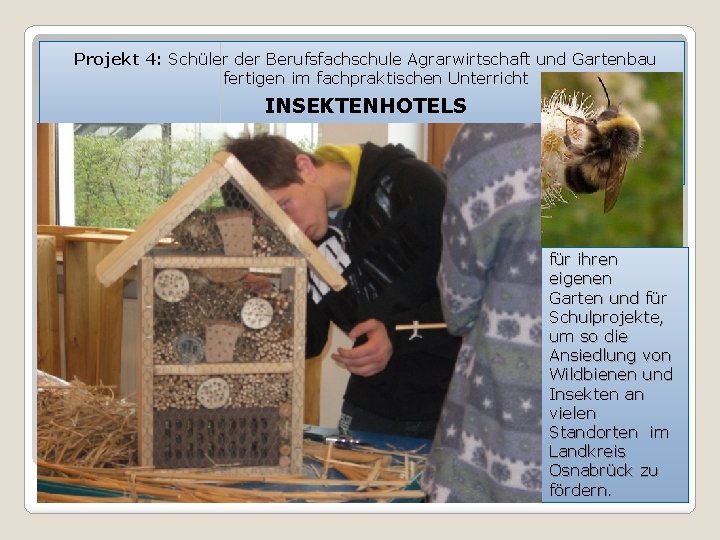 Projekt 4: Schüler der Berufsfachschule Agrarwirtschaft und Gartenbau fertigen im fachpraktischen Unterricht INSEKTENHOTELS für