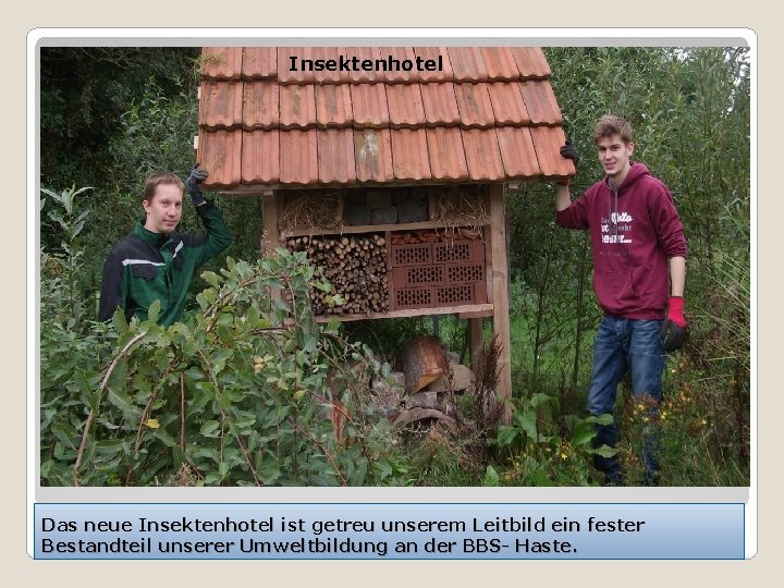 Insektenhotel Das neue Insektenhotel ist getreu unserem Leitbild ein fester Bestandteil unserer Umweltbildung an