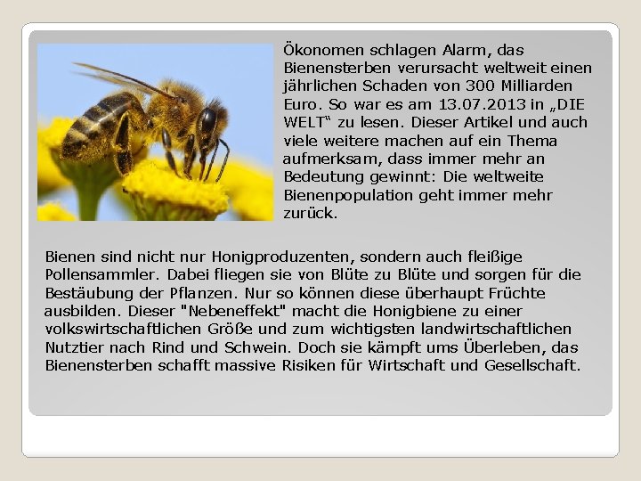 Ökonomen schlagen Alarm, das Bienensterben verursacht weltweit einen jährlichen Schaden von 300 Milliarden Euro.