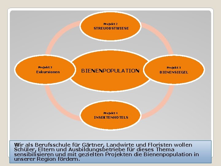 Projekt 2 STREUOBSTWIESE Projekt 3 Exkursionen BIENENPOPULATION Projekt 1 BIENENSIEGEL Projekt 4 INSEKTENHOTELS Wir