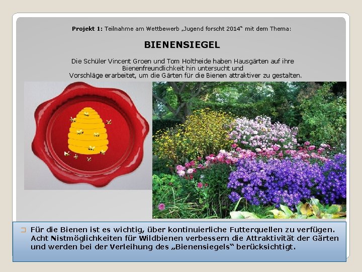 Projekt 1: Teilnahme am Wettbewerb „Jugend forscht 2014“ mit dem Thema: BIENENSIEGEL Die Schüler