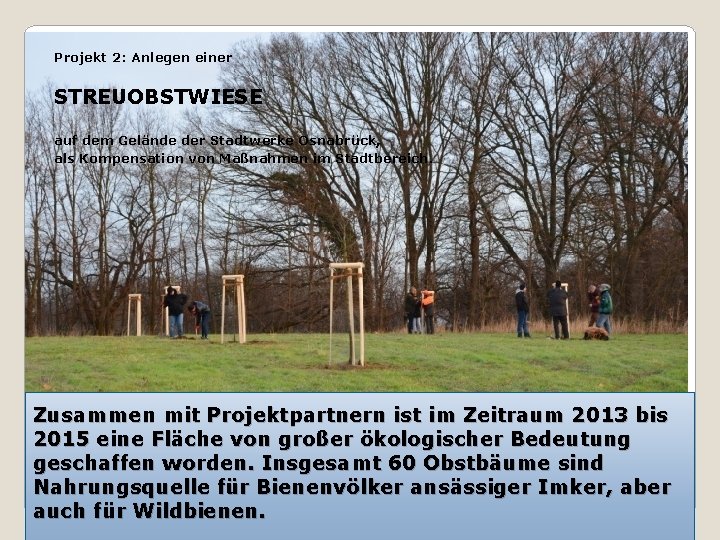 Projekt 2: Anlegen einer STREUOBSTWIESE auf dem Gelände der Stadtwerke Osnabrück, als Kompensation von