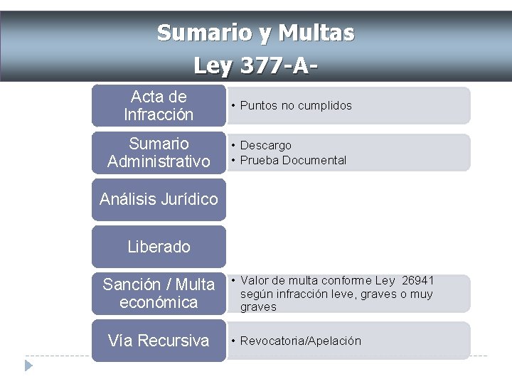 Sumario y Multas Ley 377 -AActa de Infracción • Puntos no cumplidos Sumario Administrativo