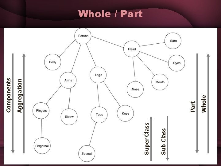 Sub Class Super Class Whole Part Aggregation Components Whole / Part Sub Class Super Class Whole Part Aggregation Components Whole / Part