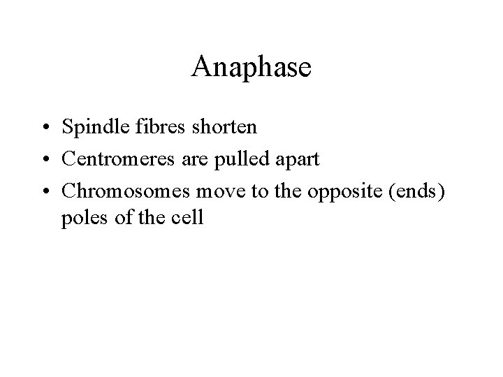 Anaphase • Spindle fibres shorten • Centromeres are pulled apart • Chromosomes move to