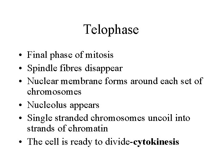 Telophase • Final phase of mitosis • Spindle fibres disappear • Nuclear membrane forms