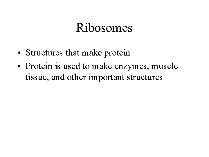 Ribosomes • Structures that make protein • Protein is used to make enzymes, muscle