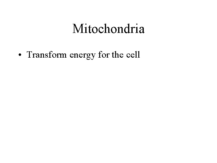 Mitochondria • Transform energy for the cell 