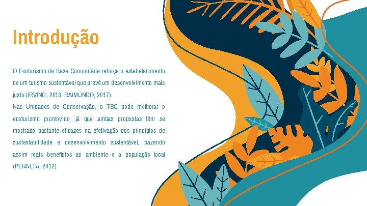 Introdução O Ecoturismo de Base Comunitária reforça o estabelecimento de um turismo sustentável que