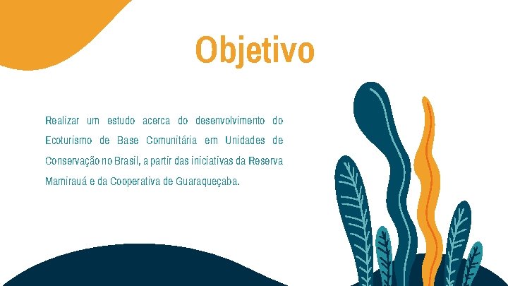 Objetivo Realizar um estudo acerca do desenvolvimento do Ecoturismo de Base Comunitária em Unidades