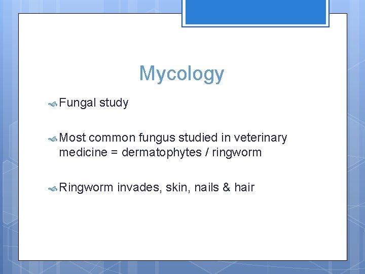 Mycology Fungal study Most common fungus studied in veterinary medicine = dermatophytes / ringworm