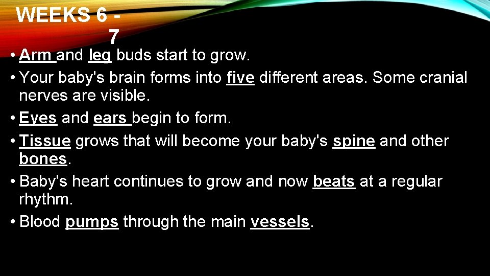 WEEKS 6 7 • Arm and leg buds start to grow. • Your baby's