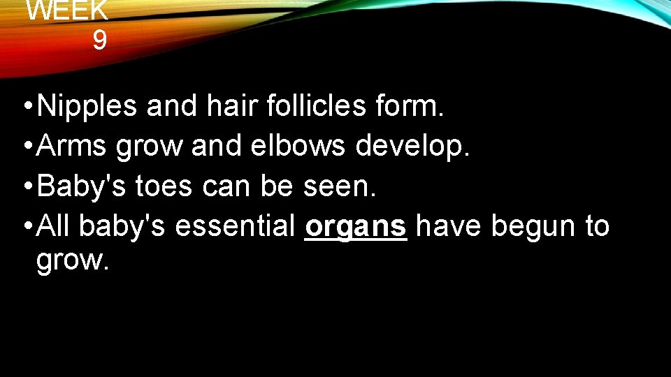 WEEK 9 • Nipples and hair follicles form. • Arms grow and elbows develop.