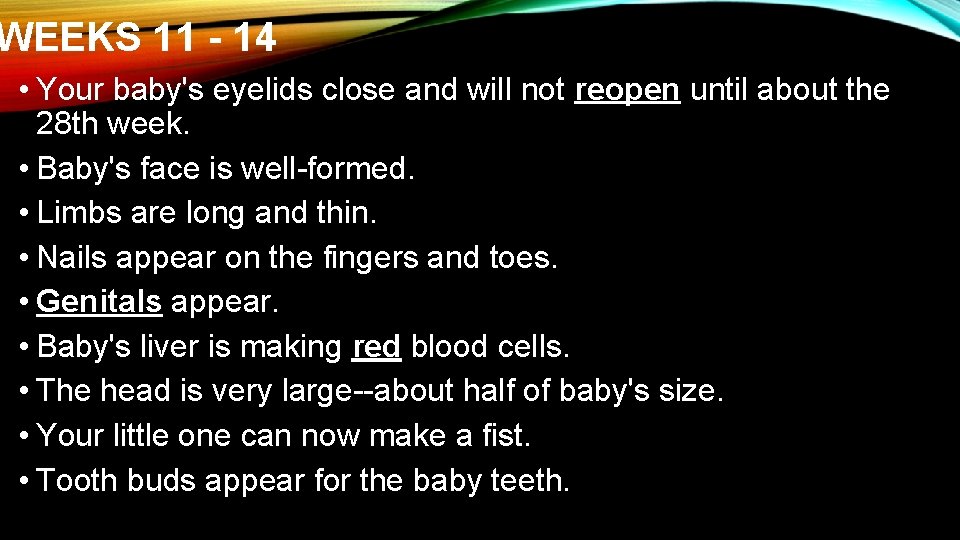 WEEKS 11 - 14 • Your baby's eyelids close and will not reopen until