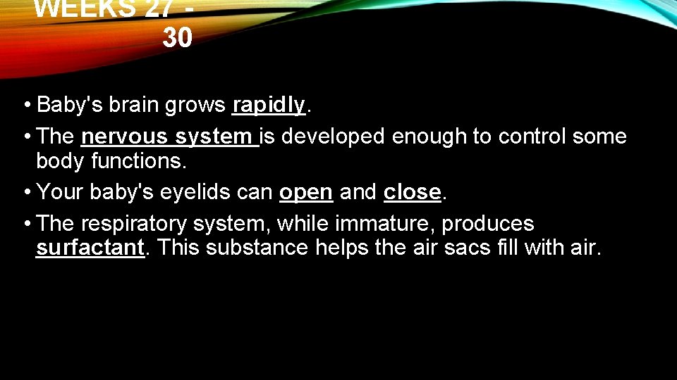 WEEKS 27 30 • Baby's brain grows rapidly. • The nervous system is developed