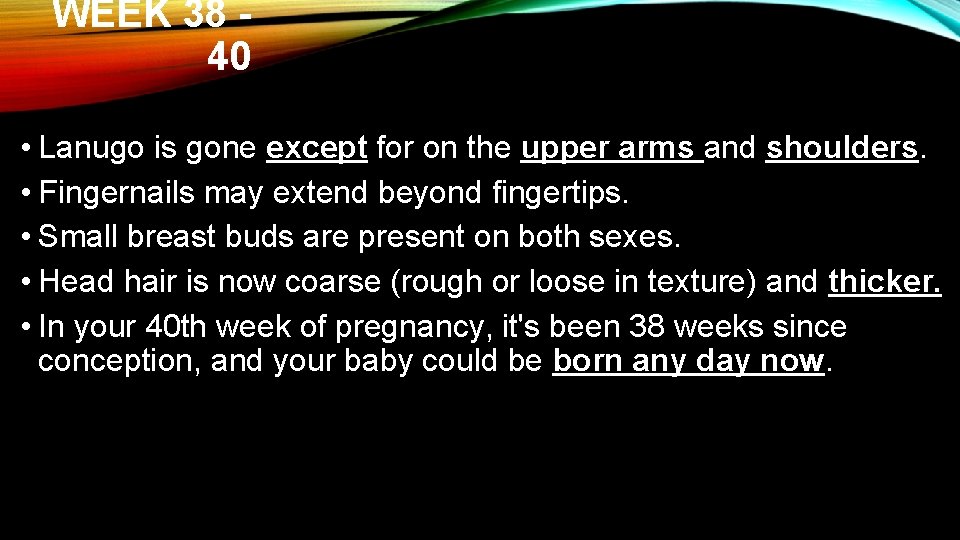 WEEK 38 40 • Lanugo is gone except for on the upper arms and