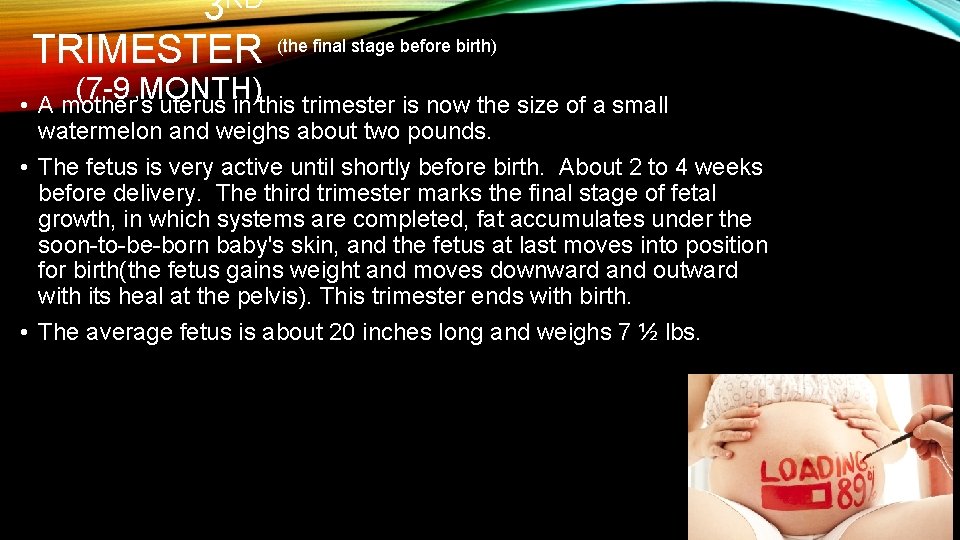3 RD TRIMESTER • (the final stage before birth) (7 -9 MONTH) A mother’s