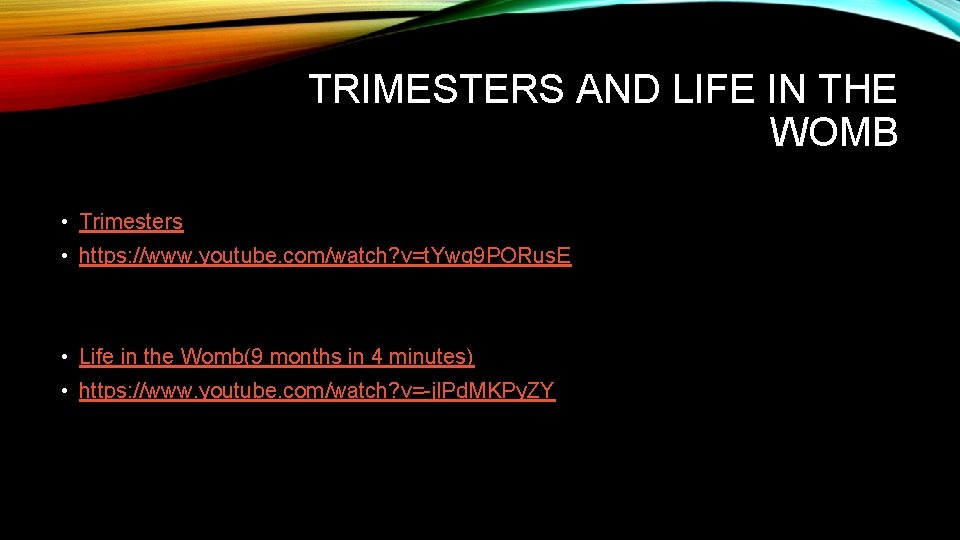 TRIMESTERS AND LIFE IN THE WOMB • Trimesters • https: //www. youtube. com/watch? v=t.