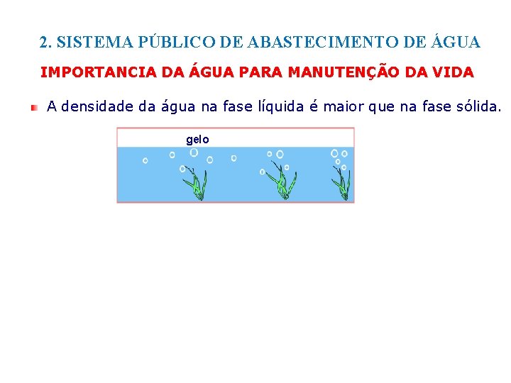 2. SISTEMA PÚBLICO DE ABASTECIMENTO DE ÁGUA IMPORTANCIA DA ÁGUA PARA MANUTENÇÃO DA VIDA