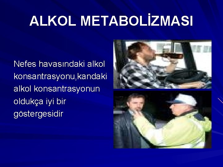 ALKOL METABOLİZMASI Nefes havasındaki alkol konsantrasyonu, kandaki alkol konsantrasyonun oldukça iyi bir göstergesidir 